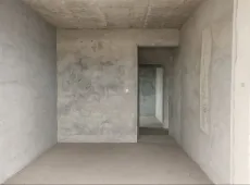 长宁县|中央公园城4室2厅2卫出售