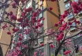 4室超大阳台,周边配套齐全2