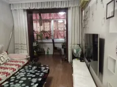 金川区|9号区2室2厅1卫出售