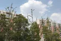 精装3室2厅1卫2阳台地铁沿线，交通便利，舒适宜居14