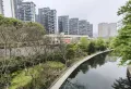 常青藤湘水湾130.13㎡4室2厅2卫2阳台精装，好房出售19