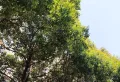 3室2厅1卫2阳台，精装修，超大阳台,周边配套齐全13