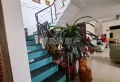 金瓯园格局好,复式楼实用面积276平，带屋顶花园，花园面积是7