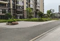 碧桂园十里江湾低密度花园，毛坯 有钥匙带您看8
