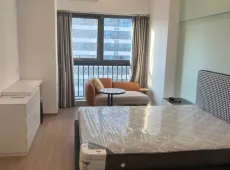 龙湖区|华润置地公馆1室1厅1卫出租