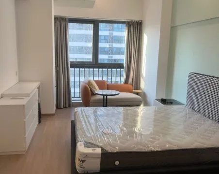华润置地公馆1室1厅1卫朝南精装