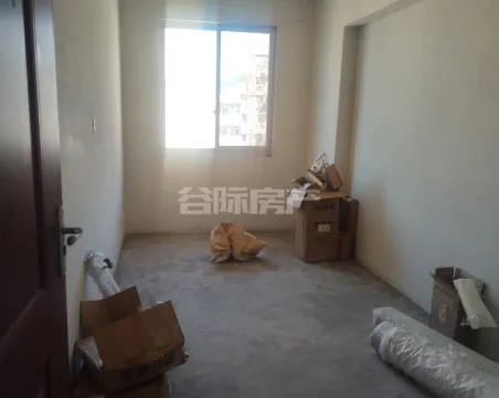 悬渚村3室2厅2卫毛坯