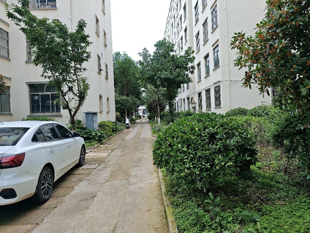 麒麟区南片区毛坯3室2厅2卫二手房出售13