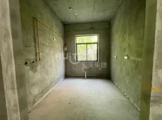 东兴区|邦泰颐和上院5室3厅3卫出售