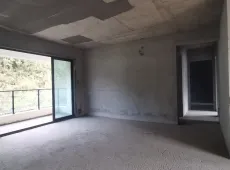 惠东县|碧桂园天麓山4室2厅2卫出售