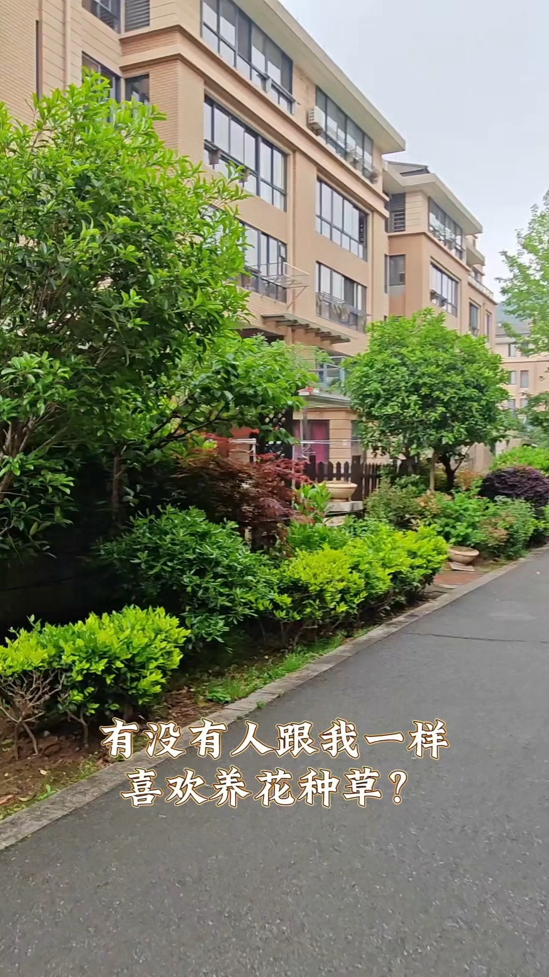 定海区,定海,西城锦园,3室2厅,113㎡
