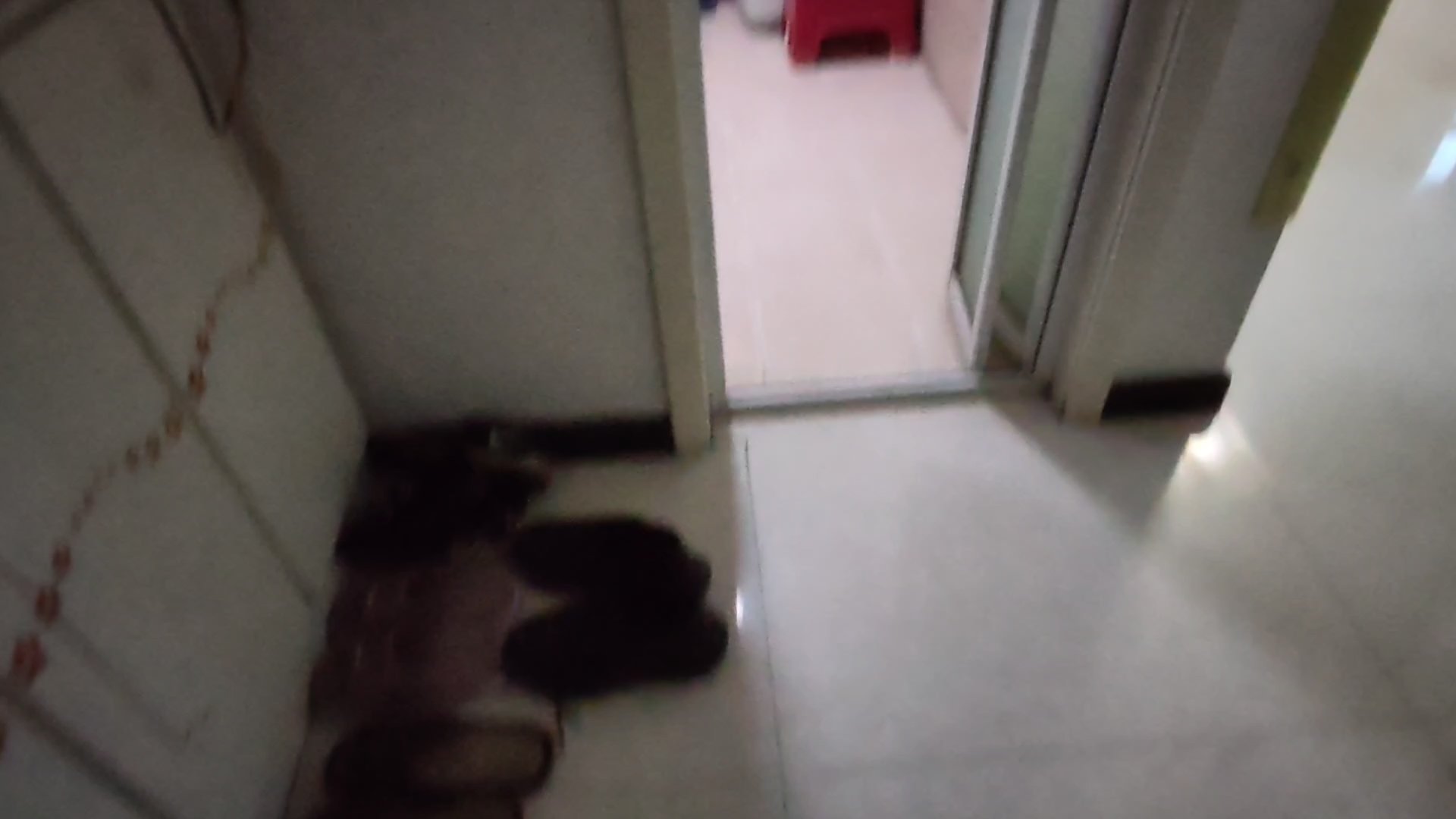 城区城区普通2室1厅1卫二手房出售1