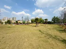 楚雄市|枫桥水郡-室-厅-卫出售