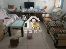 东明县|武校家属院3室2厅1卫出售