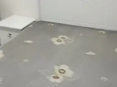 闵行区|臻澜苑2室1厅1卫出租