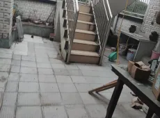 自流井区|阳光丽舍2室1厅1卫出租