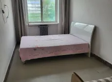 莲池区|花椒园3室1厅1卫出租