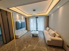 镜湖新区|龙湖金帝天汇4室1厅2卫出租