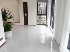 长宁县|中央公园城4室3厅2卫出售