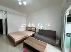 洪雅县|钻石广场1室1厅1卫出租