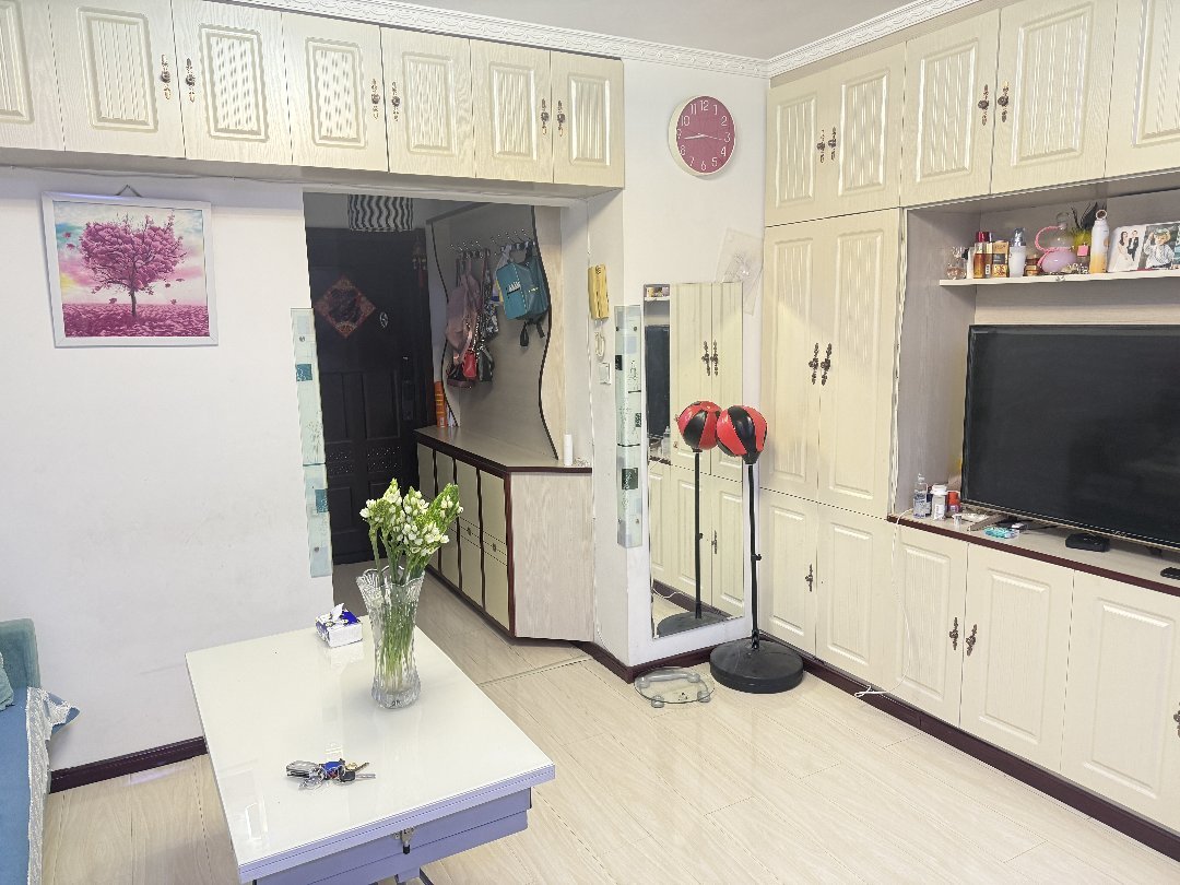东芬景康学苑,东芬景康学苑42㎡1室1厅1卫，家具家电齐全，拎包入住2