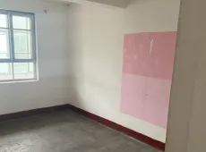 莲池区|新华村3室1厅1卫出售