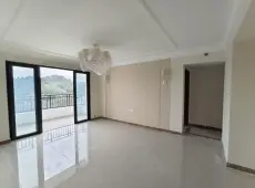 濠江区|恒大金碧外滩湾4室2厅2卫出租