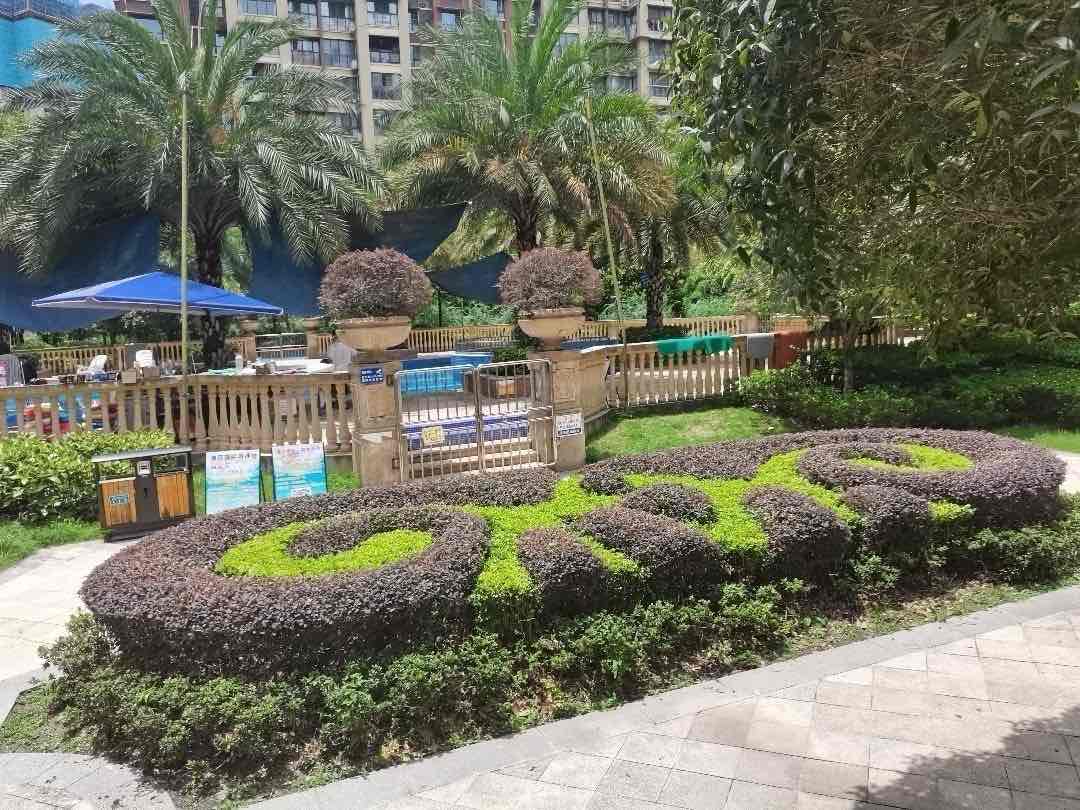 温莎国际社区一期,难得一见的精装大户型,总价低,朝向好14