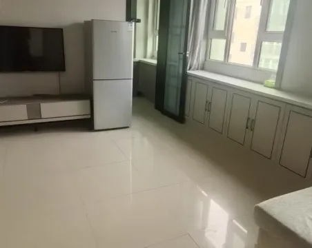 北京丽苑1室1厅1卫精装