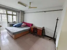 莲池区|七一路地税局宿舍2室1厅1卫出租
