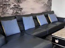 龙湖区|充耀号2室2厅2卫出租