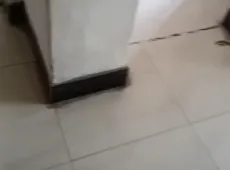 市辖区|建设南小区1室1厅1卫出租