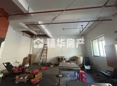广丰县|广丰国际商贸城6室3厅3卫出售