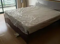 越城区|荷塘月色1室1厅1卫出租