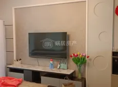 松桃县|松江国际3室2厅1卫出租