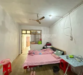 西湖区-西湖街道-羊子巷鸭子塘