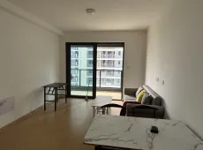 越城区|中梁隐山府3室2厅2卫出租