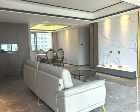 龙湖金帝天汇4室2厅2卫精装