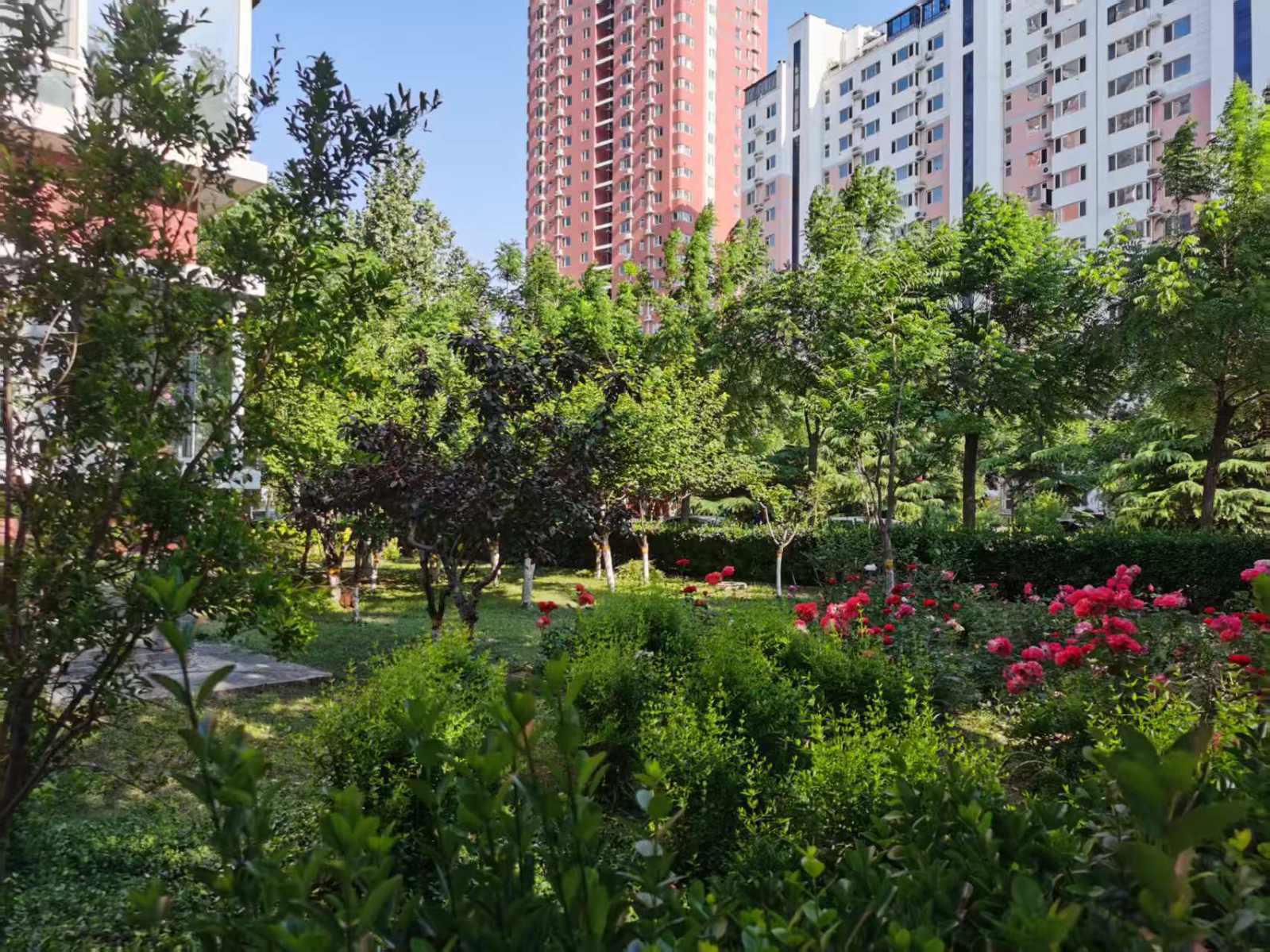 莲池区丽景蓝湾普通3室2厅2卫二手房出售10