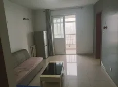 竞秀区|西大园新区1室1厅1卫出租