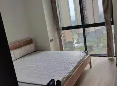 自流井区|云湖一号3室2厅2卫出租