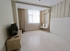 连云区|龙禧深蓝公寓2室1厅1卫出售