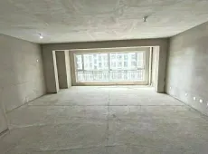 金川区|鲜花云溪4室2厅2卫出售