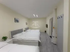 松北区|墅公馆1室1厅1卫出租