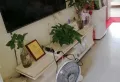 供销社宿舍纯毛坯 随时看房 采光好 送地下室4