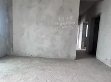 富顺县|公园锦城3室2厅2卫出售