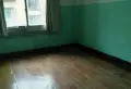 牡丹37/501/93/113/513