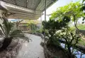 交通方便马吃水荣光苑4室2厅2卫2阳台精装业主急租5