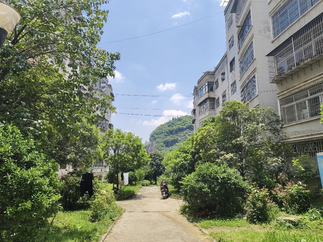 怡景小区,凤凰山怡景小区 112.6平 3室2厅1卫南向，普通装修证齐13
