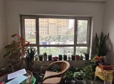 安定区|龙湾半岛2室2厅1卫出售